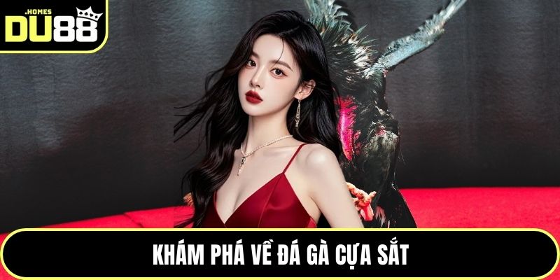 Khám phá về đá gà cựa sắt
