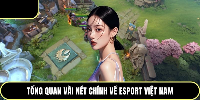 Tổng quan vài nét chính về Esport Việt Nam